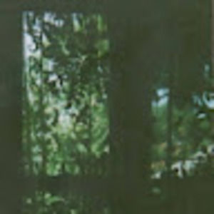 Meet your Posher, Bella